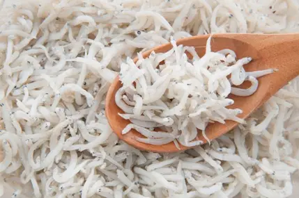 bianchetto pesce